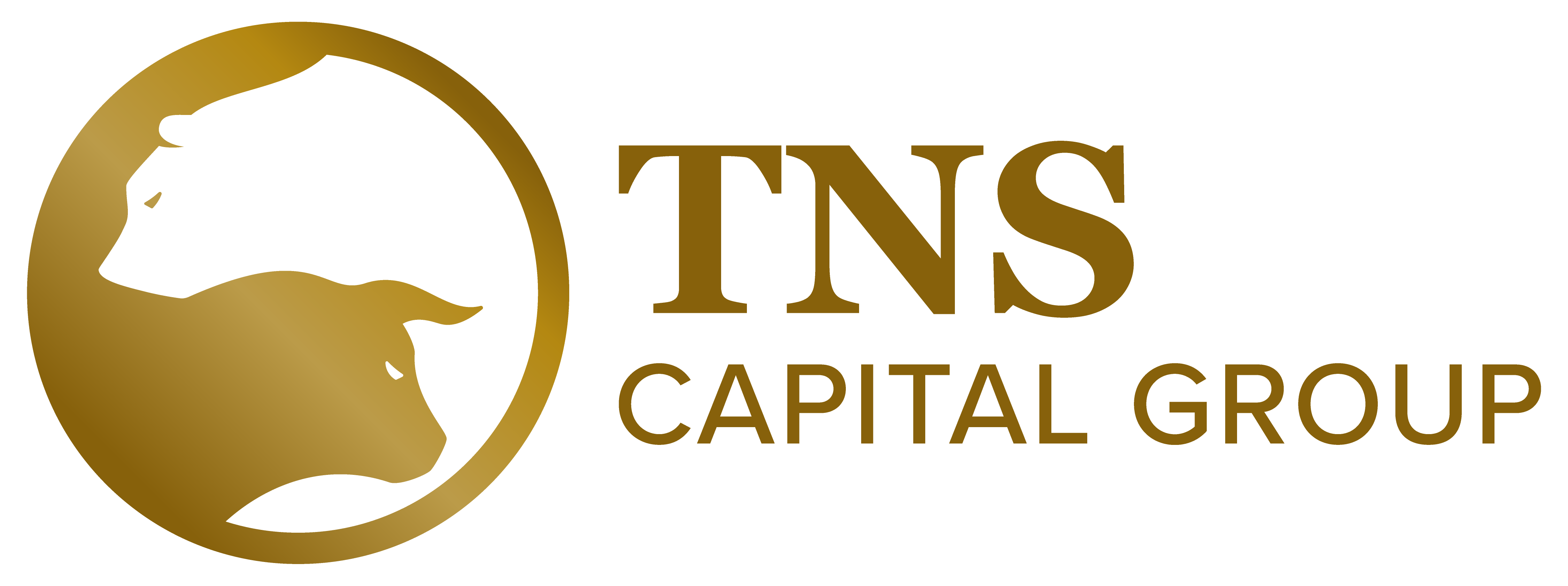 TNS Capital Group